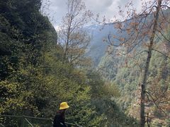 -苍山感通索道