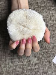 -甲舍if日式美甲美睫