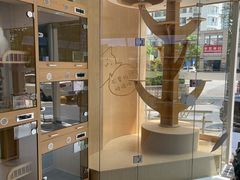 -鼎级派宠物(中南店)