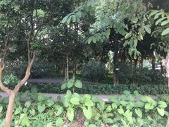 -黄埔荔枝公园