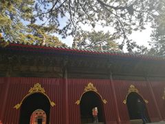 -普乐寺