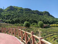 -密云玫瑰情园