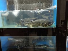 水产区-忆湖品鱼馆(千岛湖风景区店)