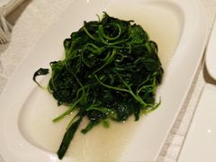 时令菠菜-昆山金鹰尚美酒店·金鹰贵宾楼