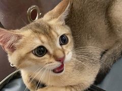 -宁波阳光豪生大酒店·豪生咖啡厅