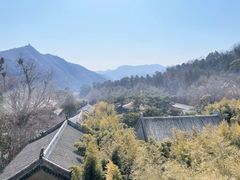 -潭柘寺景区