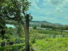 -大连北马山庄