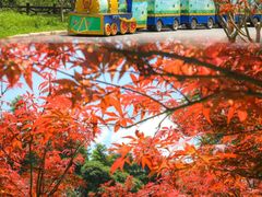-广州市帽峰山景区