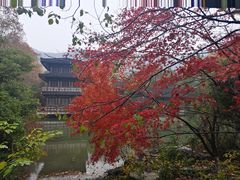 -习家池