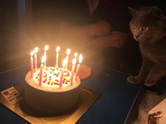 -福气鲜活面包·生日蛋糕