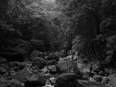 -花岩国家森林公园