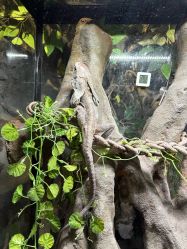 -Zoolung Zoolung动物主题公园(海信广场店)