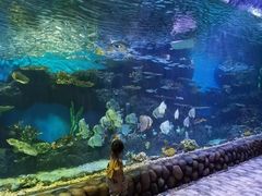 -华夏文旅海洋公园