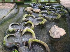 -成都市活水公园