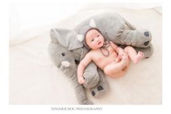 -星豆豆儿童摄影(南郊太白南路店)