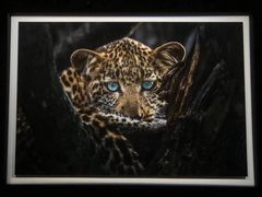 -罗红摄影艺术馆