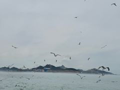 -海驴岛(荣成市)