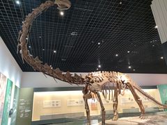 -衢州市博物馆