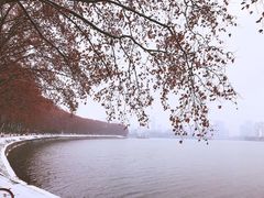 -东湖落雁景区