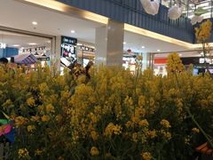 -天虹购物中心(石路店)