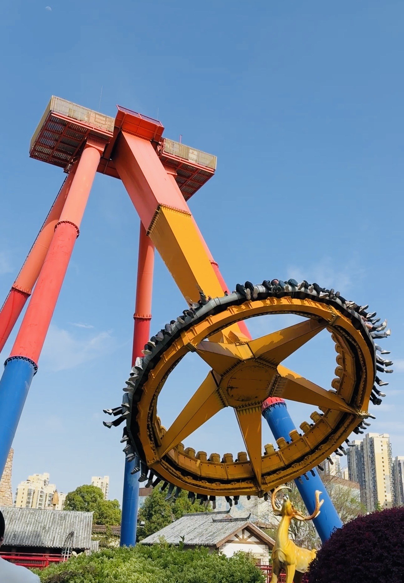 过山车的快乐🪂