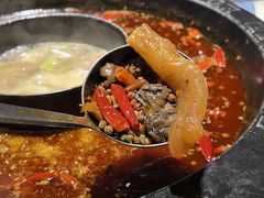 -陈眼镜火锅(总店)