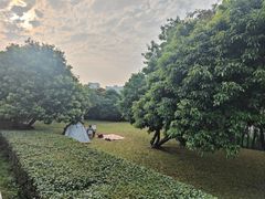 -立新湖公园