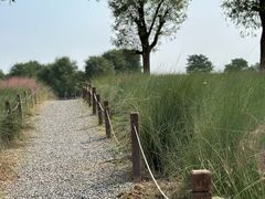 -汉长安城未央宫国家考古遗址公园