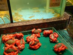 膏蟹-西贝海鲜汇(槐安路店)