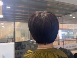 点击看大图 -镁连社·美联社