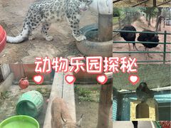 -青藏高原野生动物园
