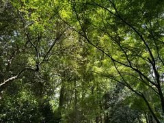 -杭州植物园