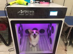 -守诺宠物医院·眼科· 特色牙科·异宠专科(虹口店)