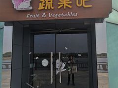 -上海都市菜园