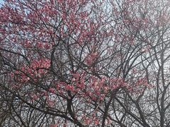 -汉口江滩-五福广场