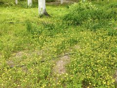 -回龙观体育文化公园