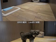 -太阳岛度假酒店