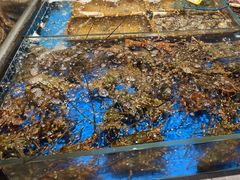 -徐记海鲜(大明宫|北二环店)