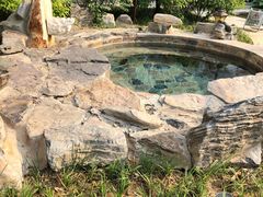 -中家鑫园温泉酒店鑫悦汤泉