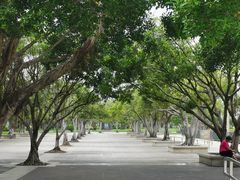 -白鹭洲公园