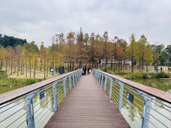 -牛岗山公园