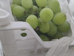 -马陆小张葡萄园农家乐