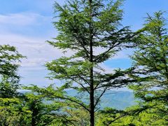 -莫干山风景区