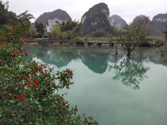 -靖西鹅泉风景区