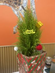 -美肤盾祛痘·问题肌头疗管理中心