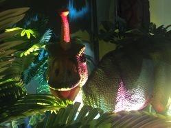 -恐龙探索乐园(磁器口店)