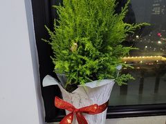 -张钰强中医正骨推拿连锁(华发商都店)