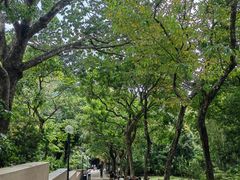 -九龙公园