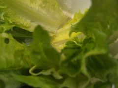 -重庆德庄火锅(映月湖环宇城店)