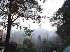 -灵顺寺